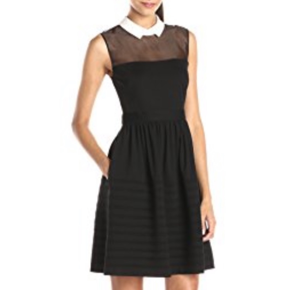 Betsy Johnson Black Dress NWT